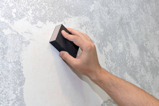 Best Air Quality Testing for Mold Spores  in Sherman, IL