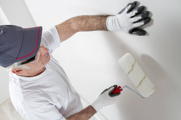 Best Mold Documentation for Insurance Claims  in Sherman, IL