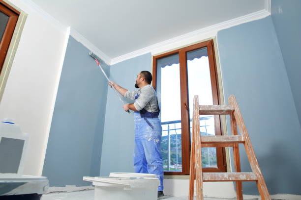 Best Environmental Consulting for Mold Prevention  in Sherman, IL