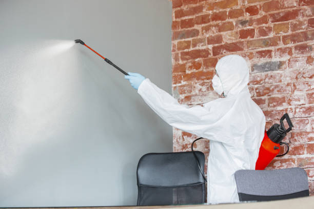 Best Commercial Mold Inspection  in Sherman, IL
