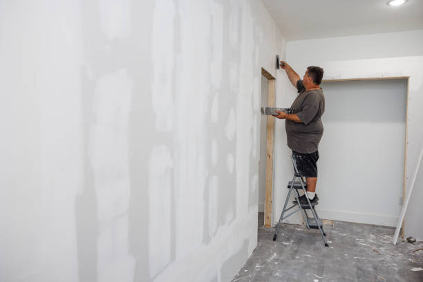 Best Mold Removal for HVAC Installations  in Sherman, IL