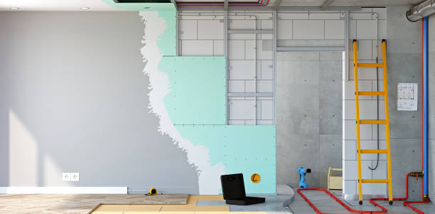 Best Basement Mold Removal  in Sherman, IL