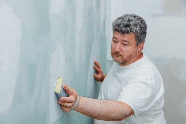 Best Black Mold Removal  in Sherman, IL